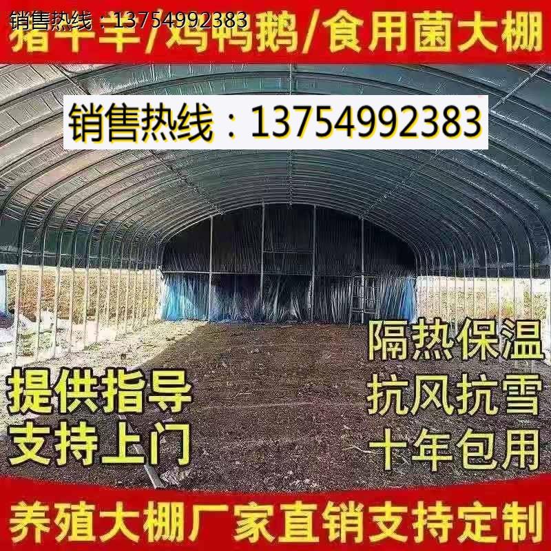 家用温室大棚钢管骨架养殖鸡鸭鹅猪牛羊大棚全套种植大棚