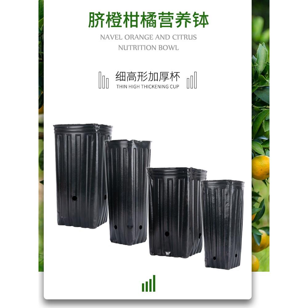 脐橙苗营养钵育苗盆方口营养杯育苗杯塑料育苗盆柑橘苗加厚育苗袋