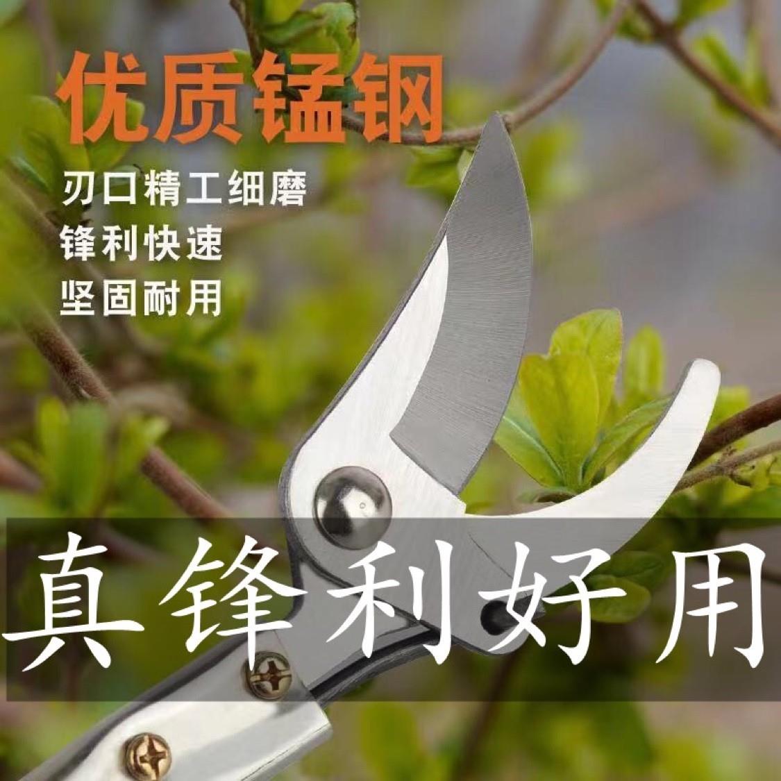 【果农帮手】园林高枝修剪器，SK5锰钢刀头，更锋利更耐用
