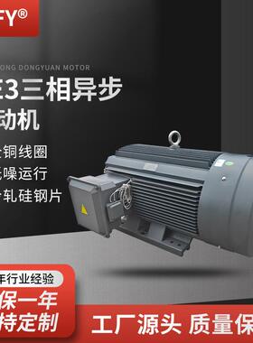 三相异步电动机YE3-315S/M/L1/L2-6极电机380V75-132W风机