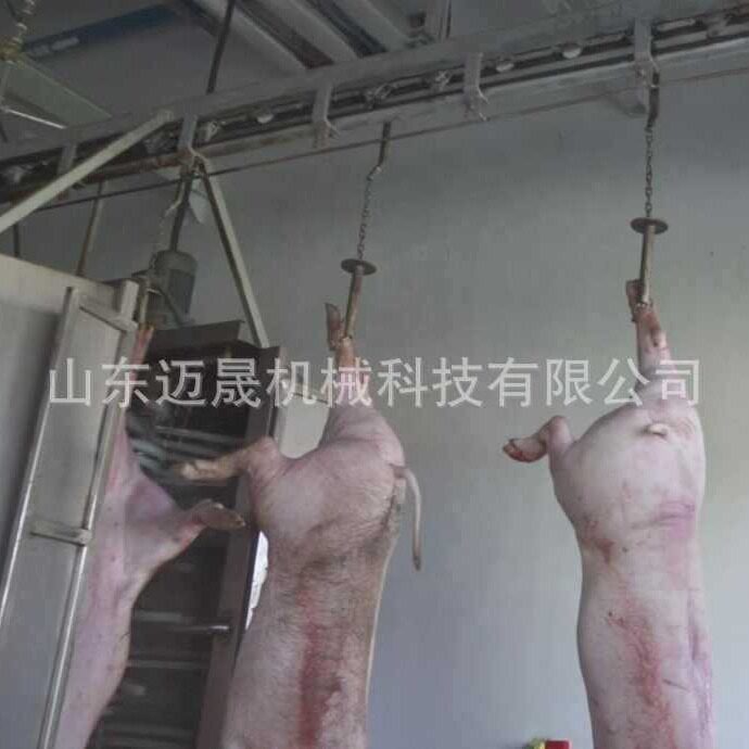全自动生猪屠宰流水线整猪脱毛加工设备屠宰流水线屠宰场猪打毛机
