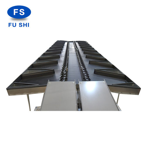 富士机械 水果清洗打蜡分选机 全自动果蔬分选机 质量保证