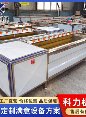 红薯地瓜自动清洗机果蔬设备毛刷毛辊清洗去皮机