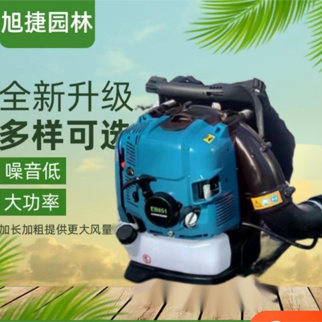 厂家货源大棚吹雪机背负式吹风机风力灭火机园林落叶除尘器吹风机