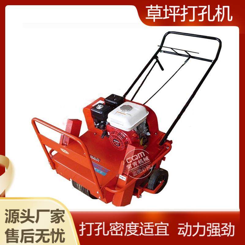 手推式草坪打孔机汽油透水通气高尔夫足球场自走式草皮透气打孔机,鲜花速递/花卉仿真/绿植园艺,铲子,淘宝优惠券,粉丝福利购,淘宝优惠卷