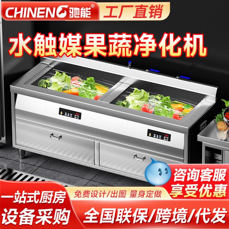 驰能全动自动洗菜机杀菌果蔬多功能清洗机去农水触媒净化机