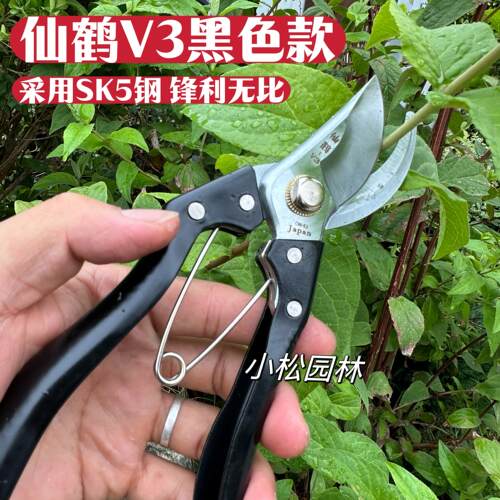 台湾原装仙鹤V3修枝剪 果树剪 园林修枝剪刀/搞枝剪/高空剪