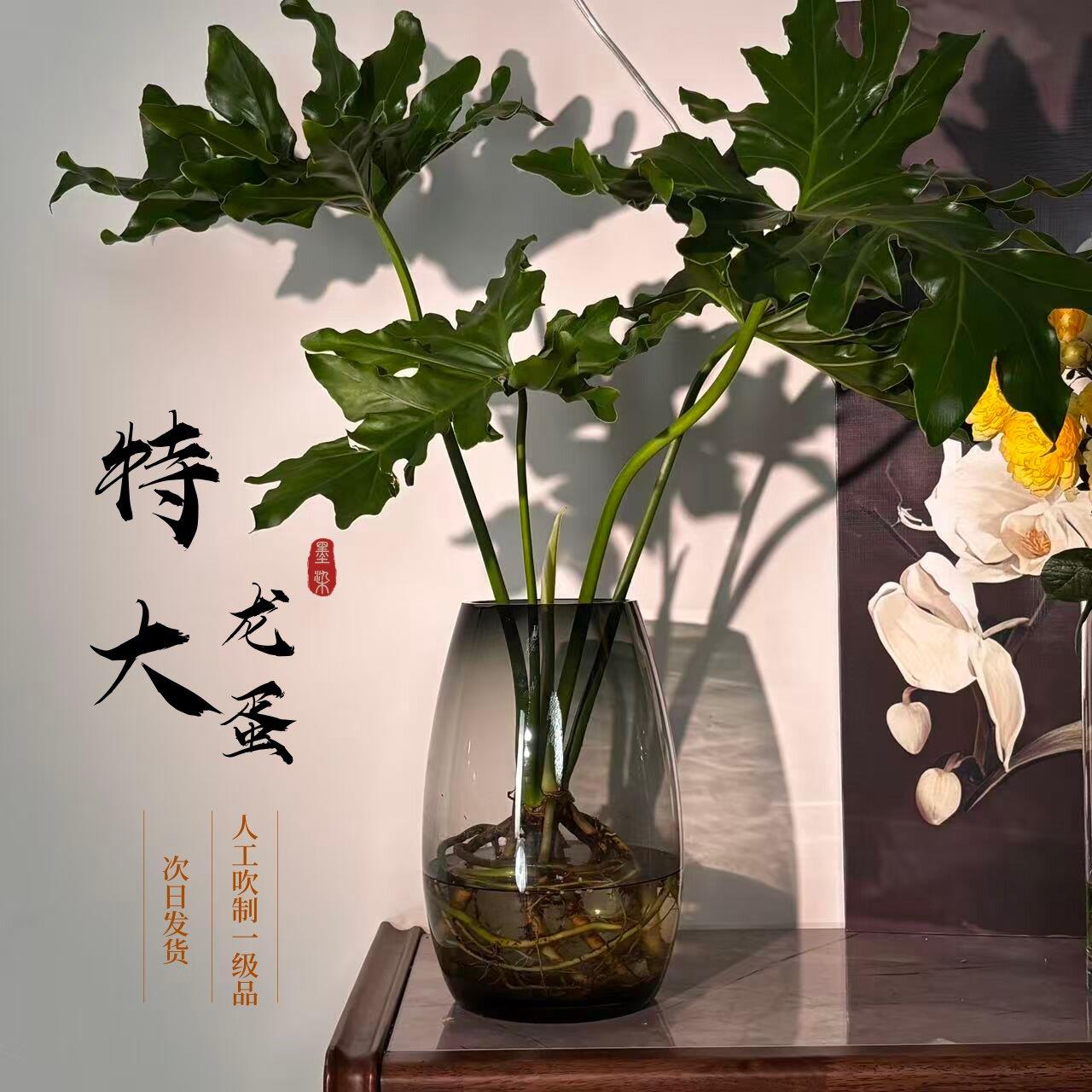 墨染特大龙蛋|原色料插花加厚水晶玻璃花瓶水培鲜切花玫瑰百合