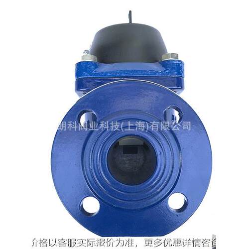 工业污水表干式可拆式冷水表防冻污水冷水表污水表50100300