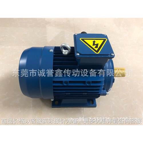 供应LEE电机MT80B-4 0.75W LEE drive马达TM71B-4 0.37W