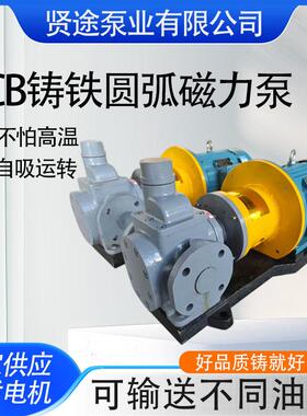 铸铁圆弧磁力泵YCB3.3/0.6无泄漏磁力驱动泵化工用电动管道齿轮