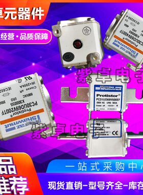 A070UD33LI1100 S300235 A070UD33LI1250 T300236罗兰法雷熔断器