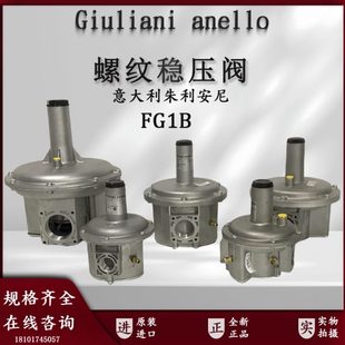 朱利安尼减压阀FG1B15 anello燃气调压器 FG1B50稳压阀Giuliani