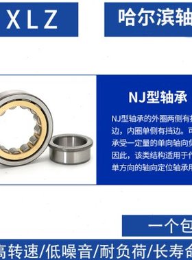 圆柱滚子轴承NJ NU2220 2222 2224 2226 2228 2230 2232 2234 EM