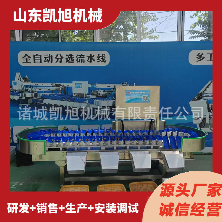 凯旭生产重量分选机鲍鱼肉多级分头机鱿鱼筒三文鱼自动挑选机