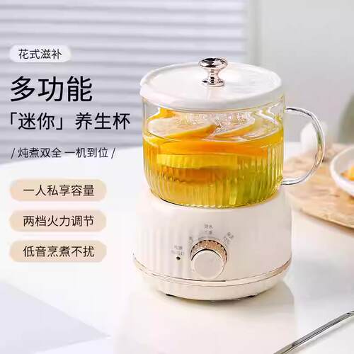 养生壶小型办公室2025新款多功能mini养生杯家用煮茶烧水壶花茶壶