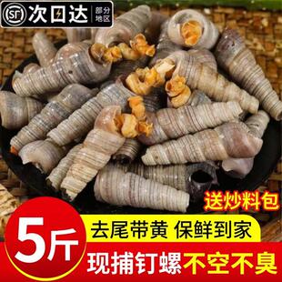 钉螺鲜活去尾大号海螺锥螺5斤捞汁小海鲜麻辣钉螺新鲜水产商用