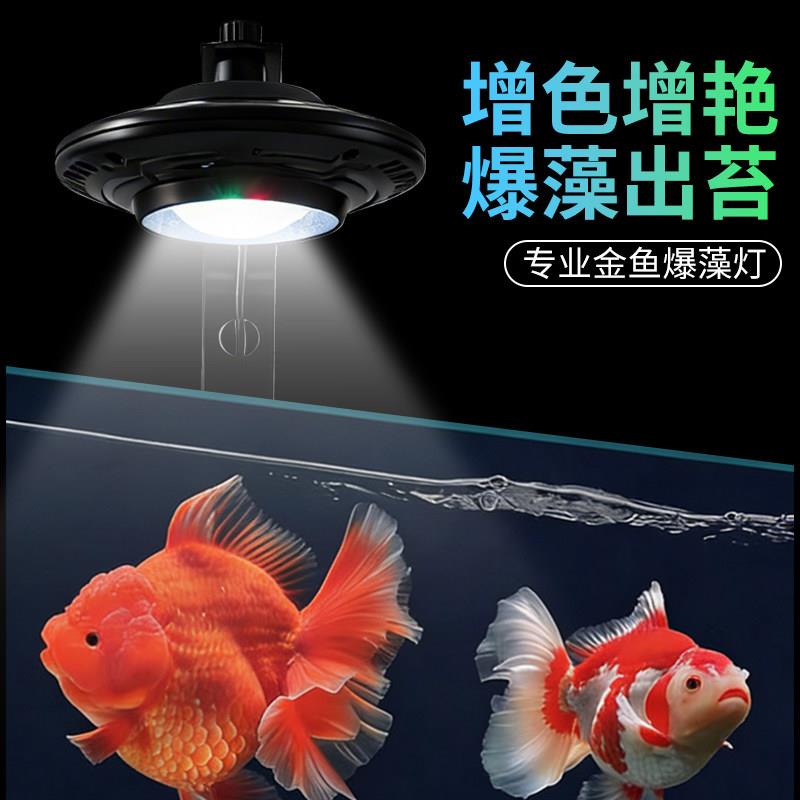 UFO飞碟鱼缸灯专业金鱼爆藻发色增艳水草缸原生缸溪流缸红龙灯
