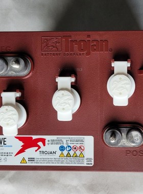 Trojan 邱健蓄电池T-105Plus 6V225/aH洗地机升降车高尔夫球车