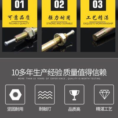 销举升机专用膨胀l螺丝龙门架固定膨胀螺栓一钉得升降机固定膨胀