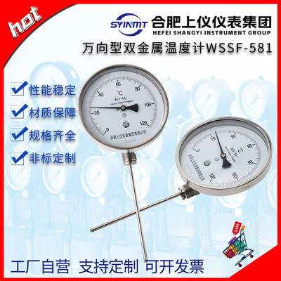 WSS-581双金属温度计0-300℃烤炉温度表工业级径向型仪表集团