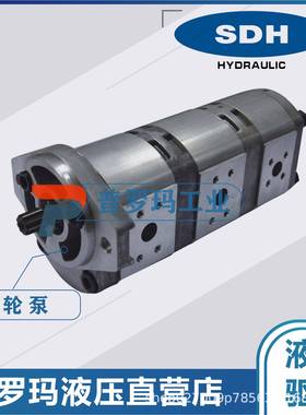 SDH齿轮泵液压泵双联油泵CBDa-F410CBDa-F416CBDa-F425