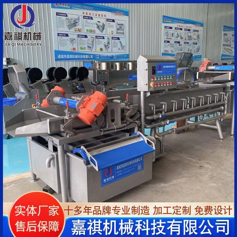 毛豆葡萄干清洗机青椒草莓涡流清洗机莴笋清洗机设备厂家供应