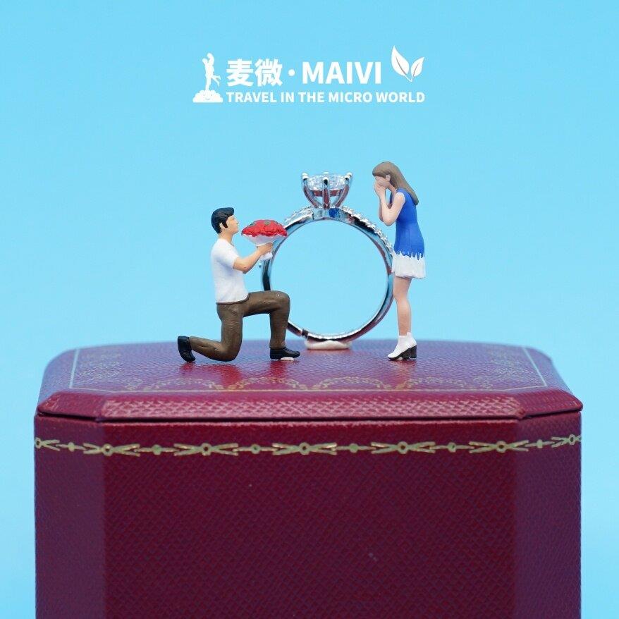 1:64麦微人偶 求婚礼物钻戒盒装饰苔藓微景观模型配沙盘场景小人