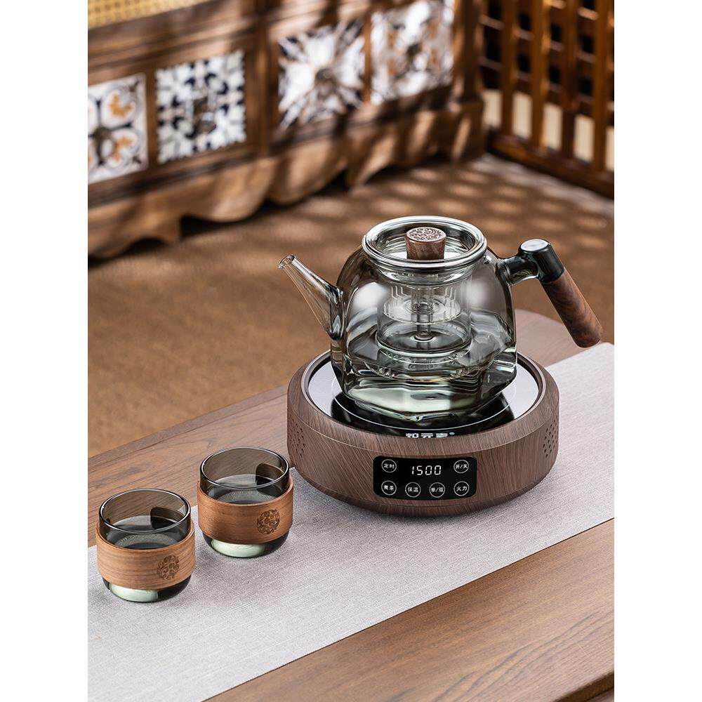 2024新款红茶全自动蒸煮健康茶壶家庭办公小保温茶具