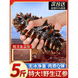 大连海参鲜活辽参即食刺身鲜食海参淡干野生海渗开袋即食干货礼盒