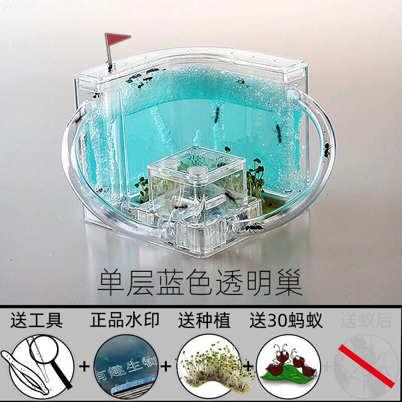 蚂蚁工坊宠物蚂蚁城堡 蚂蚁生态箱 蚂蚁窝生态平面蚁巢活动区教学
