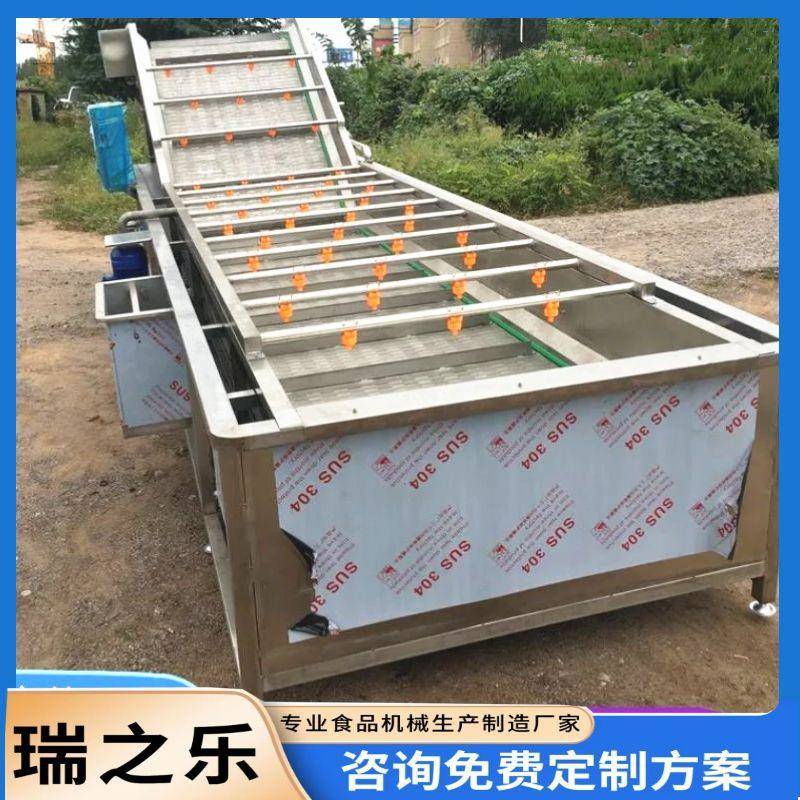杨梅气泡清洗机诺丽果鼓泡清洗线石榴清洗全套设备桑叶风干线