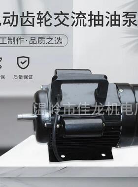 离心泵机油铝合金电动齿轮交流抽油泵WCB75750W厂家直供