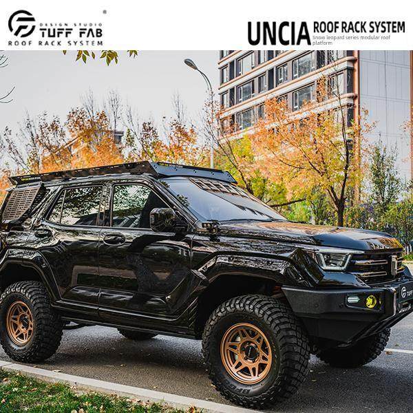 坦克400Hi4T车顶架架修改梯子扩展平台雪豹Evo版本机甲聚光灯