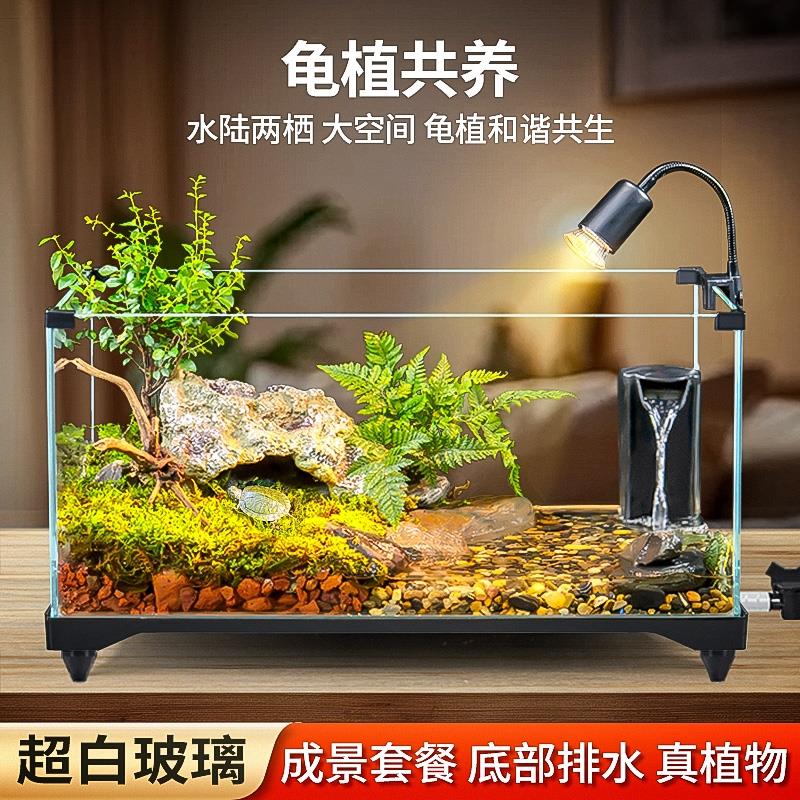 乌龟饲养缸生态造景家用玻璃缸小型水陆两用养鱼缸专用缸客厅换水