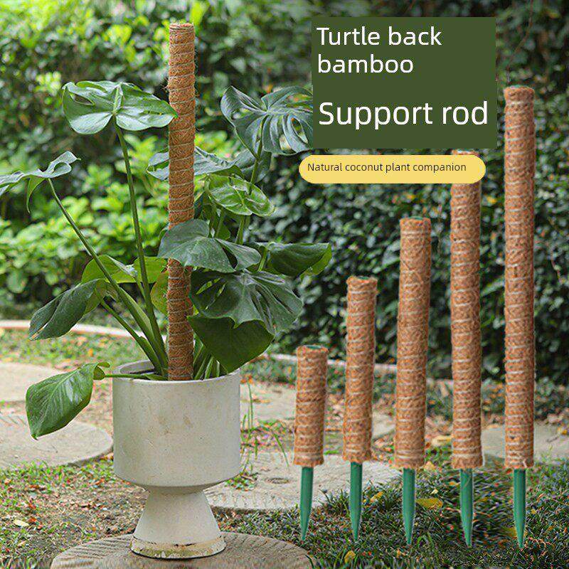 龟背竹支撑杆植物攀爬棕榈柱椰丝棒绿萝爬藤支架固定椰棕棒花架