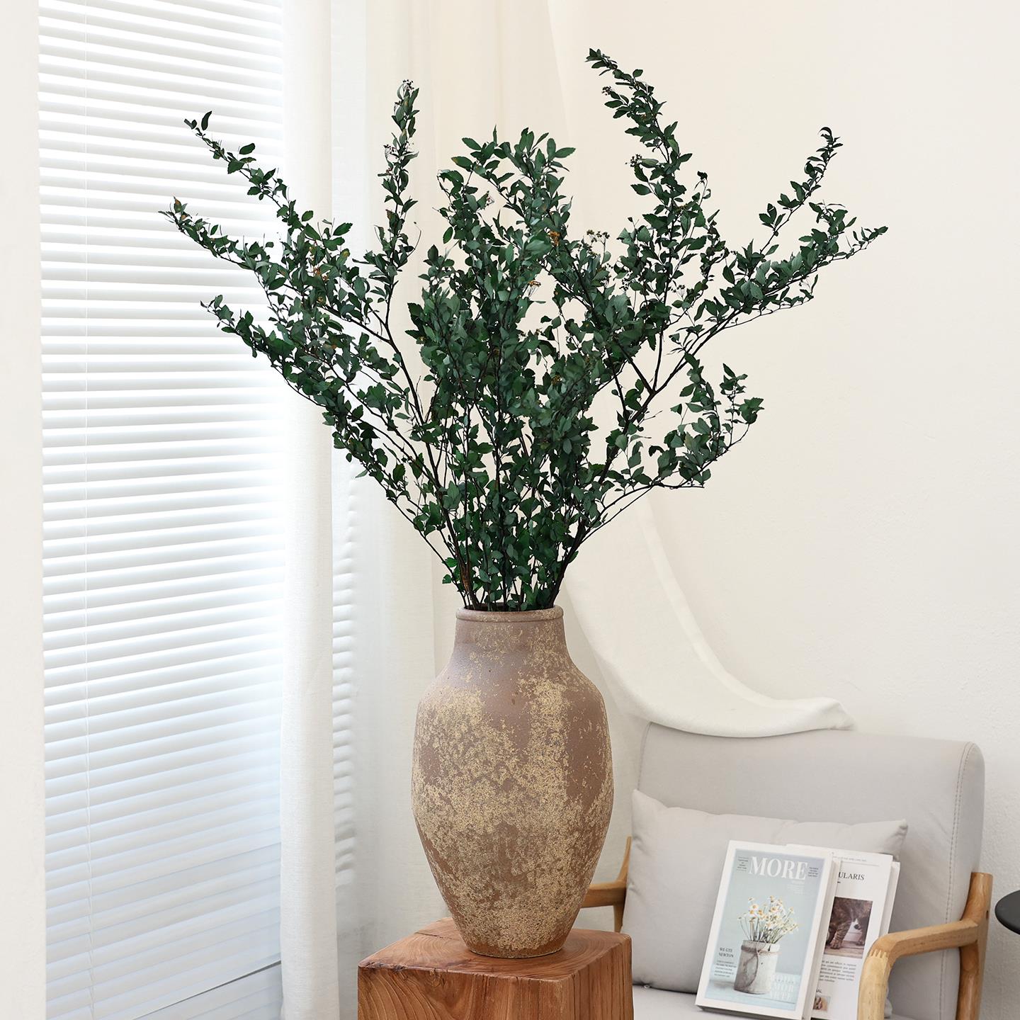 小手球干花花束干枝干树枝装饰摆件客厅橱窗插花高级感真花永生花