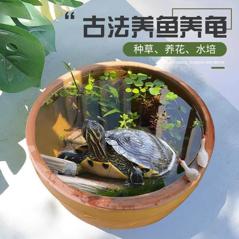 乌龟缸陶瓷水缸老式户外阳台鱼缸养睡莲盆荷花盆缸大号甲鱼缸