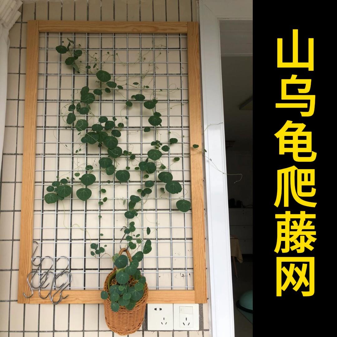 山乌龟爬藤木质网格月季蔷薇藤蔓上墙园艺花卉装饰手工作品植物架