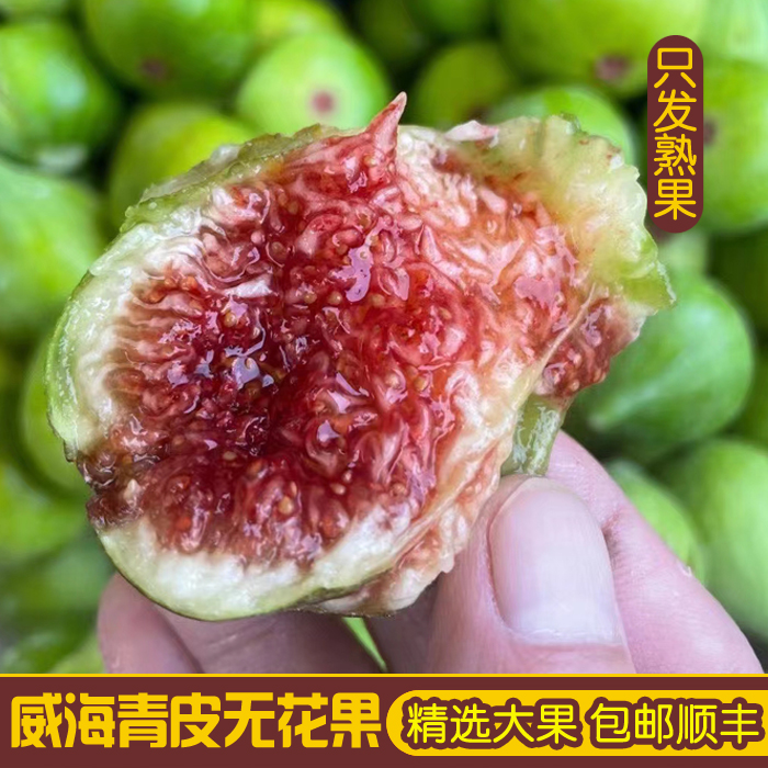 新鲜水果红心威海青皮无花果现摘