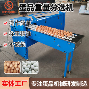 厂家供应种蛋分拣机鸡蛋称重分选机重量分级机准易操作智能分拣