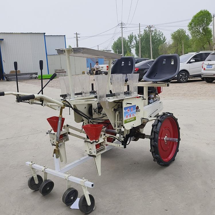农用蔬菜杨苗移栽机茄子辣椒西红柿自动种苗机自走式蔬菜移载机