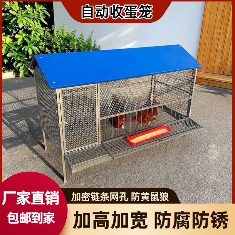 室外鸡笼子家用防雨自动收蛋防啄防黄鼠狼防鼠加厚加密养殖下蛋笼