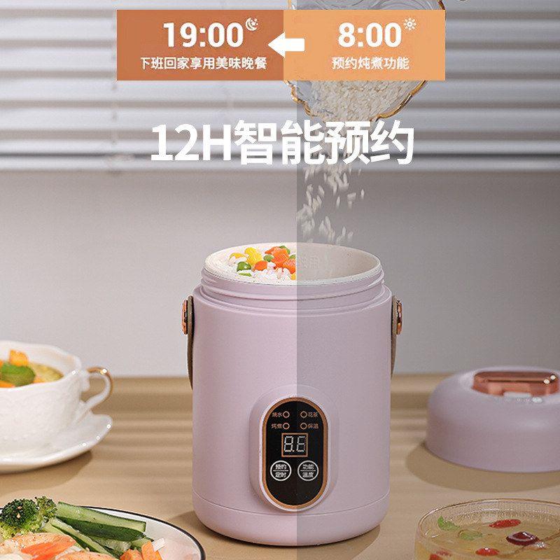 跨境多功能电炖锅家用多功能辅食锅炖盅迷你便携式煮粥煲汤电炖杯