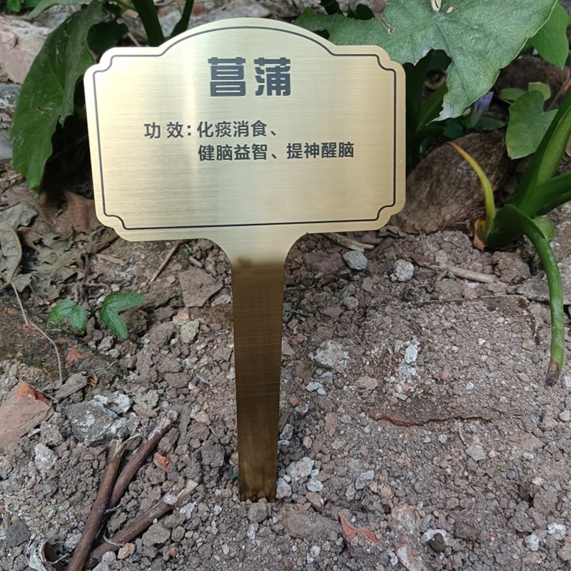 不锈钢树牌定制二维码p园林标牌育苗牌植物花草牌插地牌挂牌绿化
