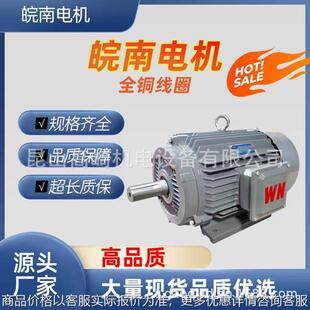 安徽皖南电机3-180-2-30 2极超高效三相异步电机全铜电机