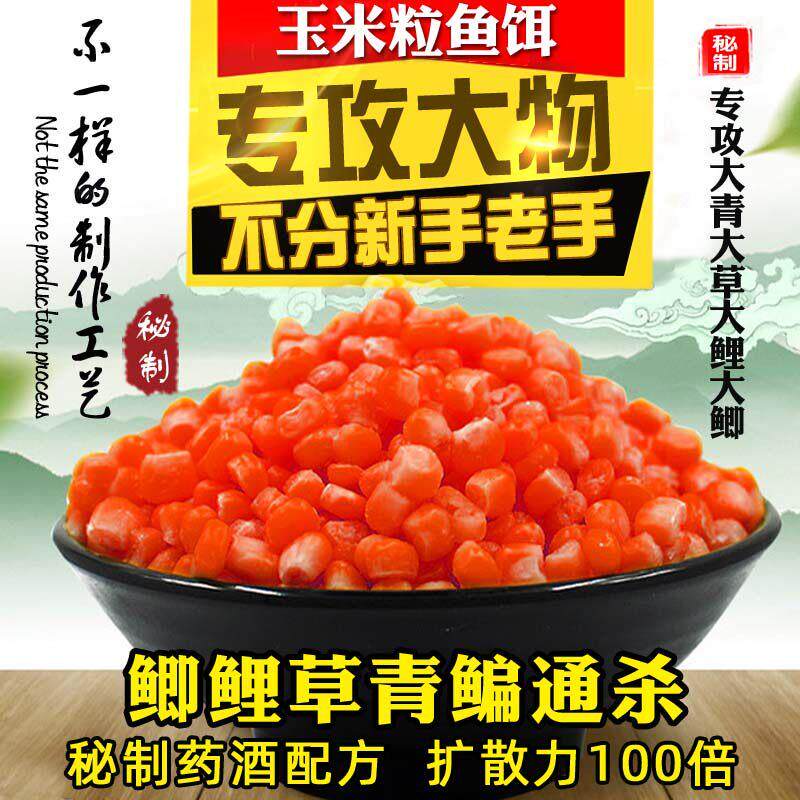 钓鱼嫩玉米粒饵料颗粒鱼饵黑坑野钓鲫鱼鲤鱼草鱼青鱼翘嘴老坛鱼饵
