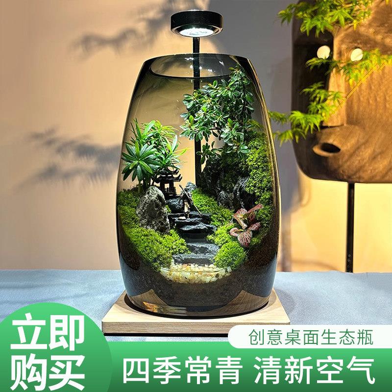 【成功之路】创意桌面苔藓微景成品观办公室生态瓶盆景生态缸摆件