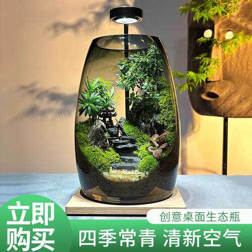 【成功之路】创意桌面苔藓微景成品观办公室生态瓶盆景生态缸摆件