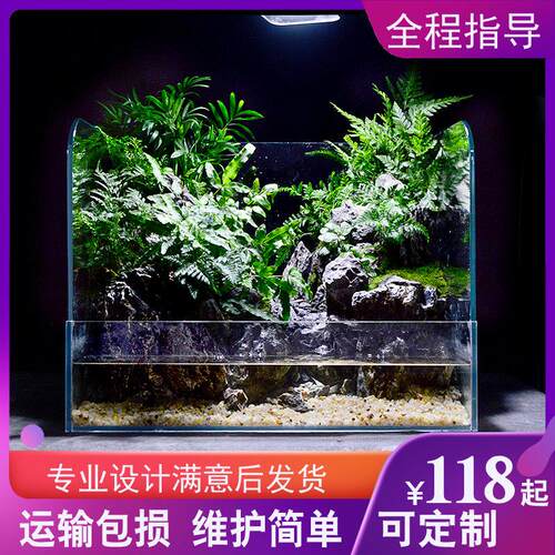 吉景佳水陆缸造景套餐超白鱼缸生态缸两栖乌龟缸微景观植物雨林缸